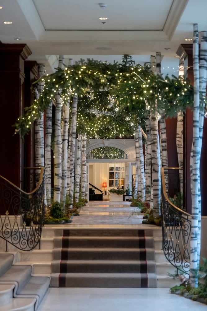 Фото Steigenberger Icon Wiltcher's