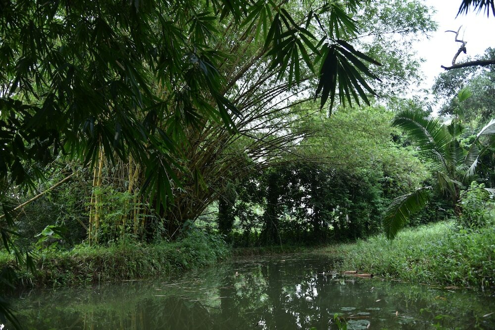 Фото The Country House