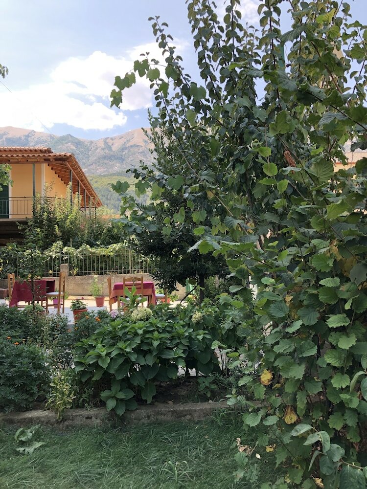 Фото Hotel Villa Ago