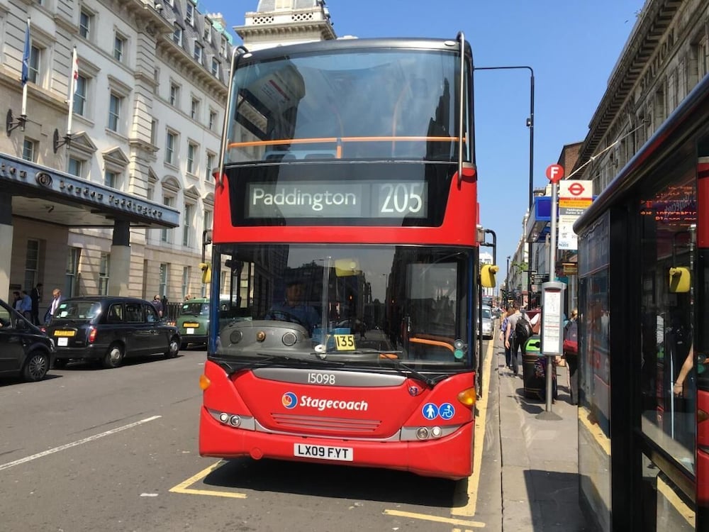 Фото St. George hotel