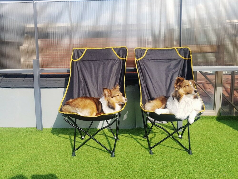 Фото Zibro H Guesthouse - Hostel