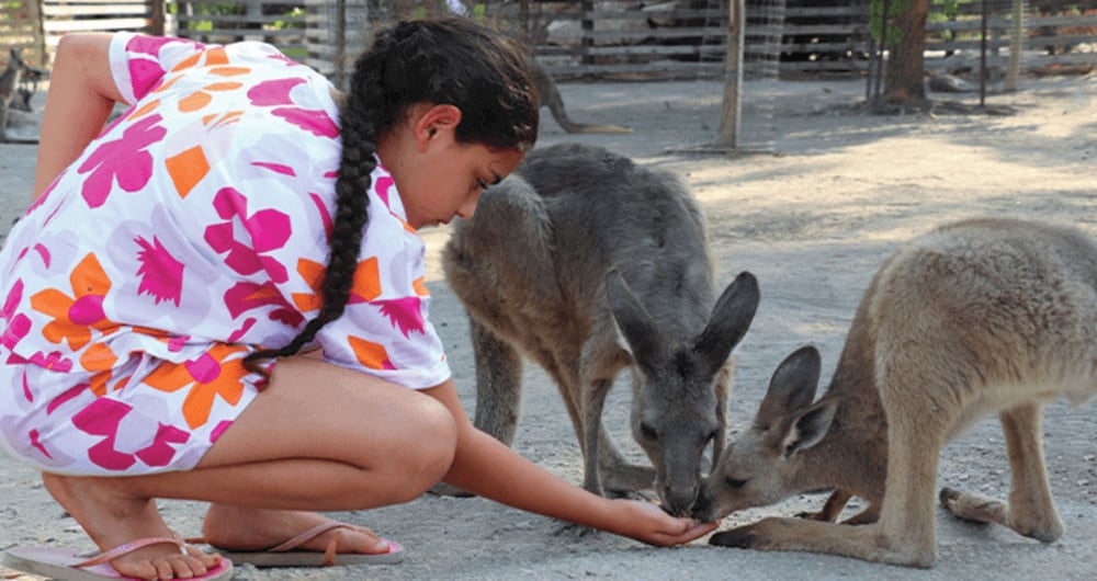 Фото Layla Glamping