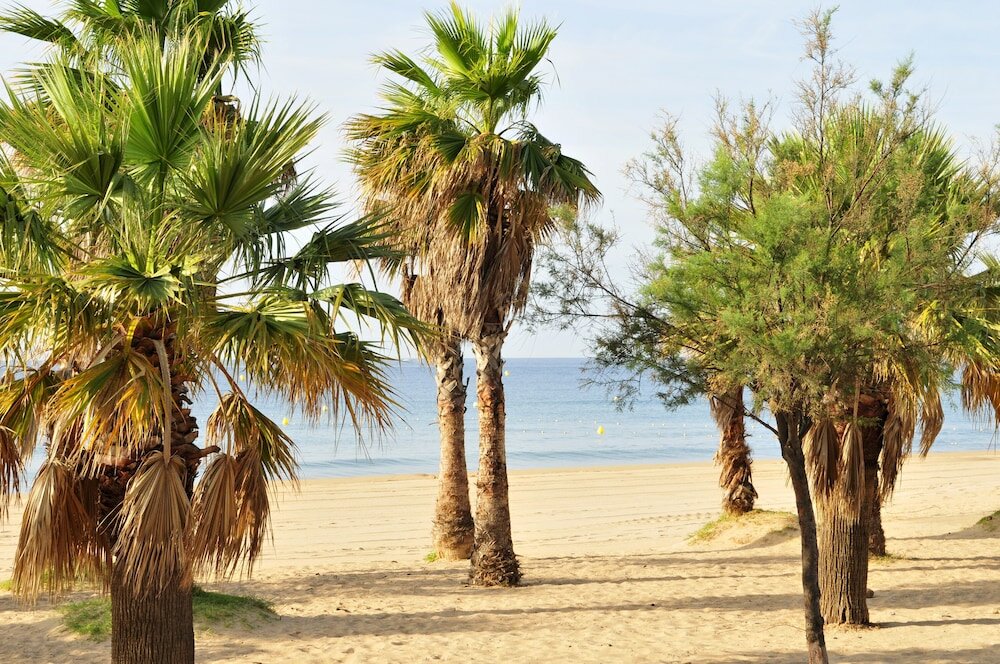 Фото Hotel Mediterranee by Mileade