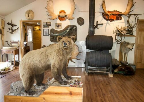 Гостиница Discovery Yukon Lodgings