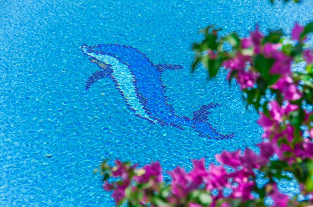 Фото Proteas Hotel & Suites