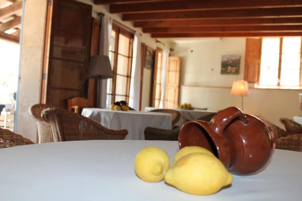 Фото Nou Dalt Muntanya