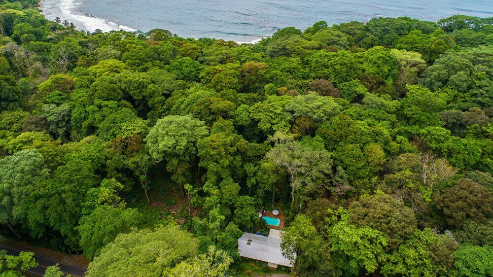 Фото Casa Cerise