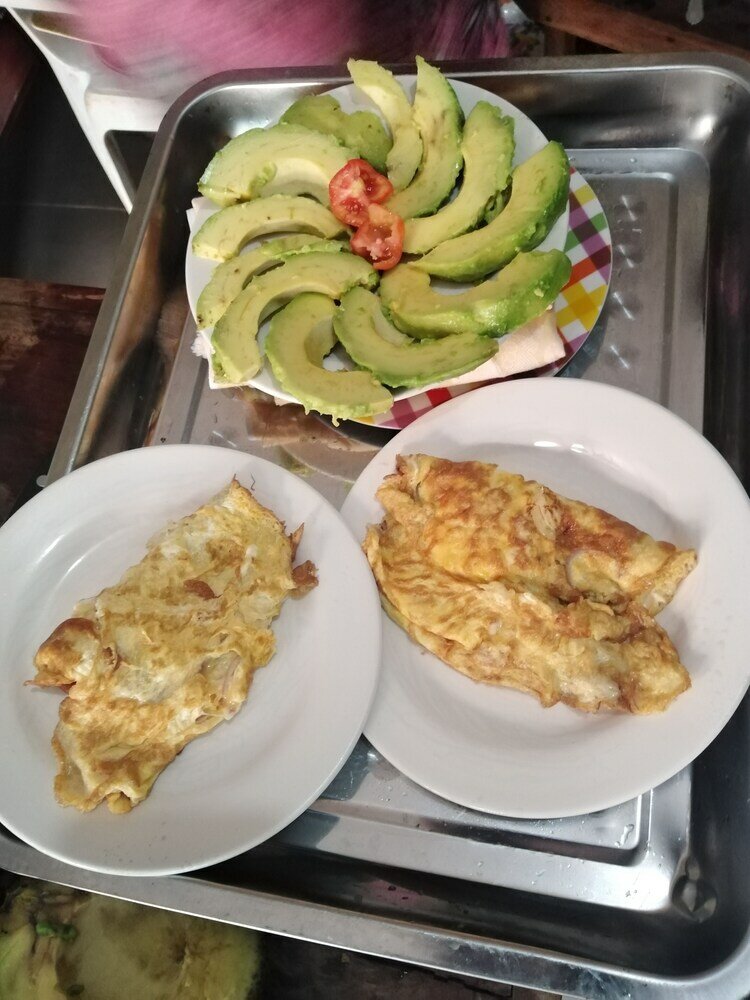 Фото Hôtels bois vert