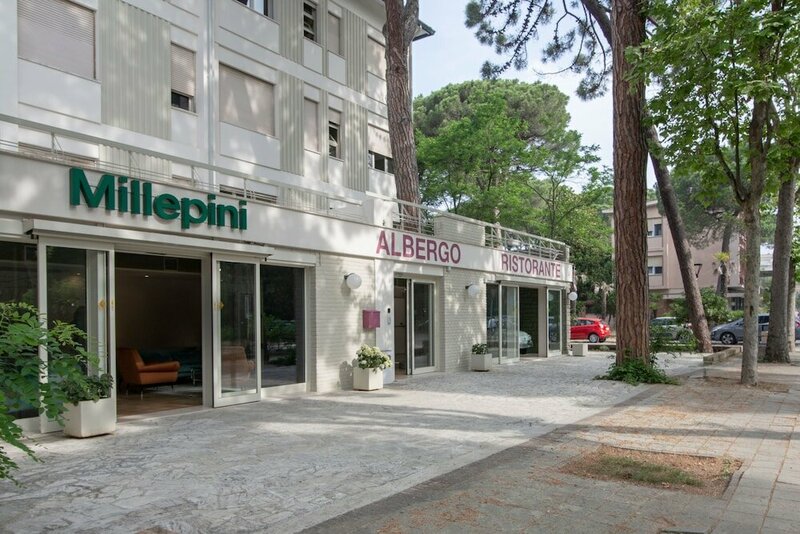 Гостиница Hotel Millepini