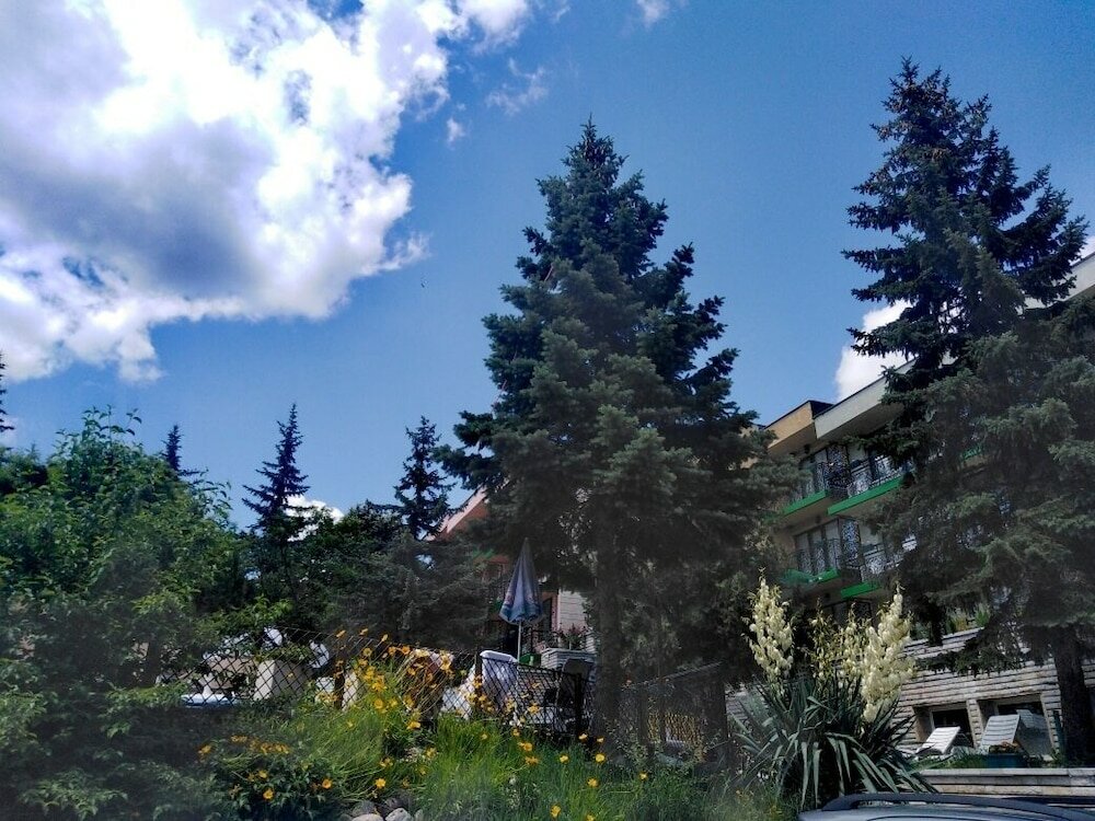 Фото Hotel Vitalis