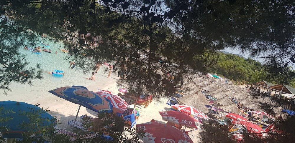 Фото Delight Hotel