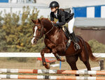 Дерби (ulitsa Sorevnovaniya, 20) ، ركوب الخيل