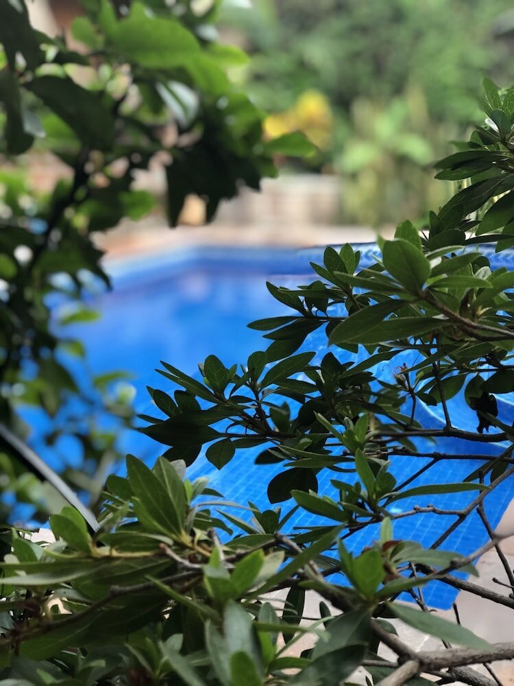 Фото Casa del Sol Inn