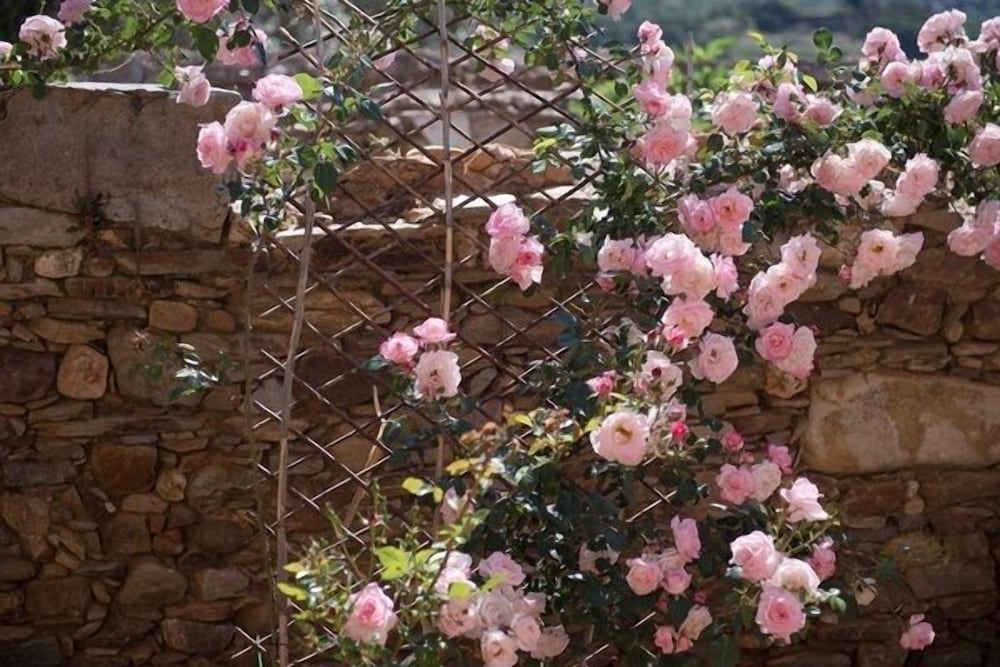 Фото Lameriana Secret Village