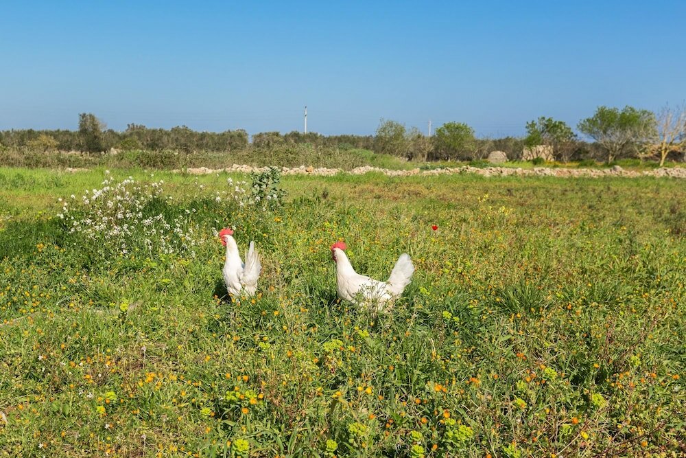 Фото Villetta Evelyn