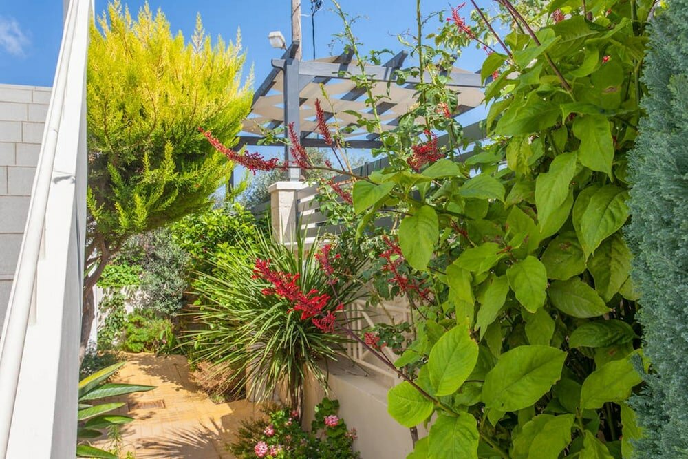 Фото Armonia Apartments & Studios