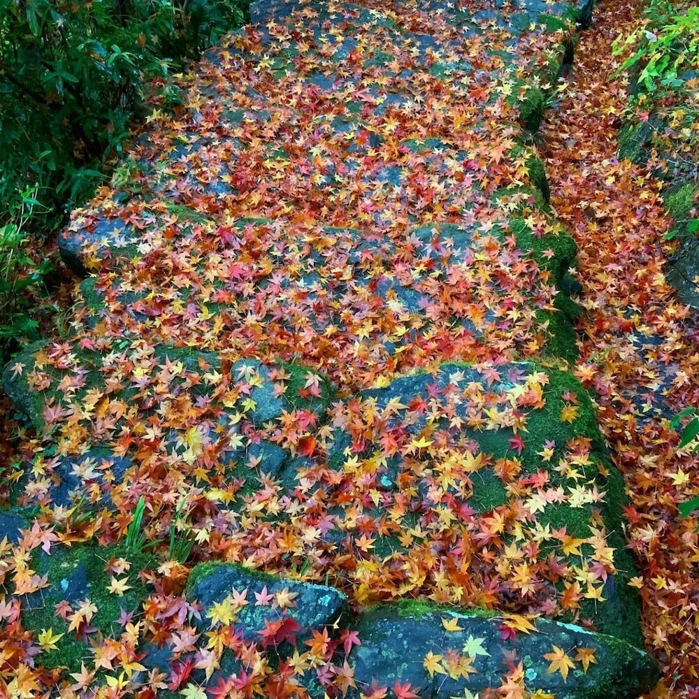 Фото Akitsukikominkaryokan You