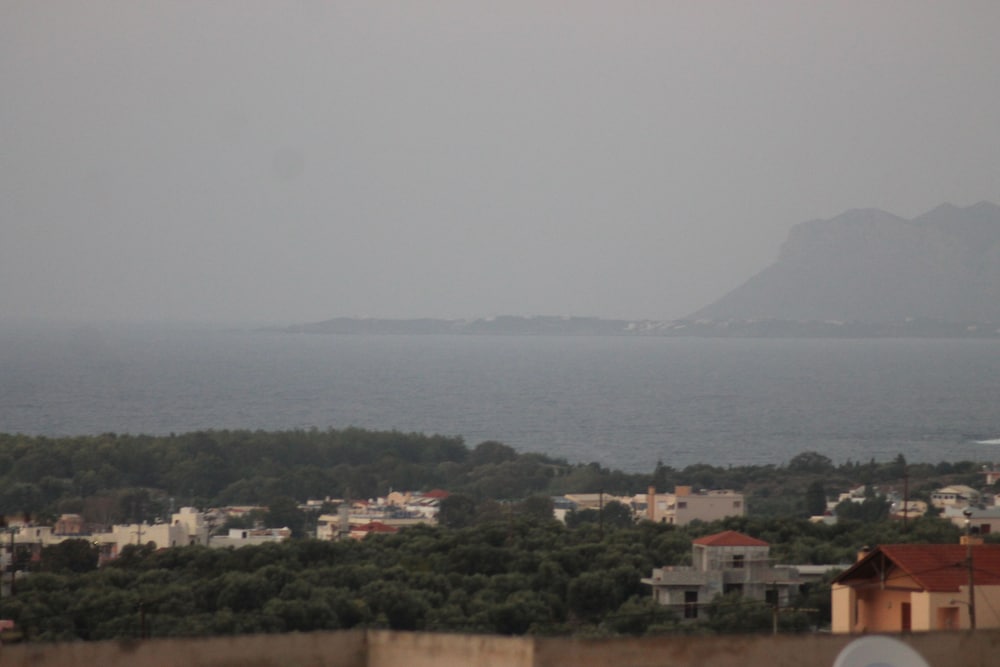 Фото Star Daratsos