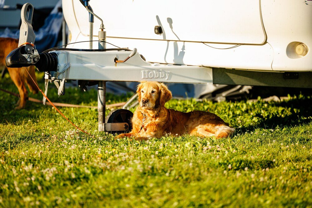 Фото First Camp Björknäs Boden
