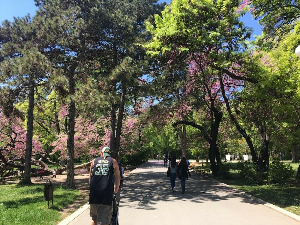 Фото Hair of the Dog Hostel