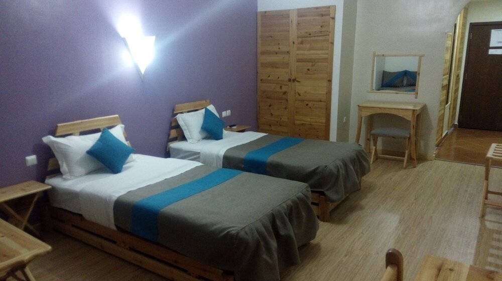 Фото Green Cactus