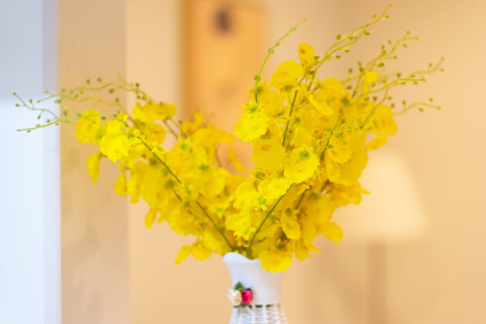 Фото Chibi Maruko's House