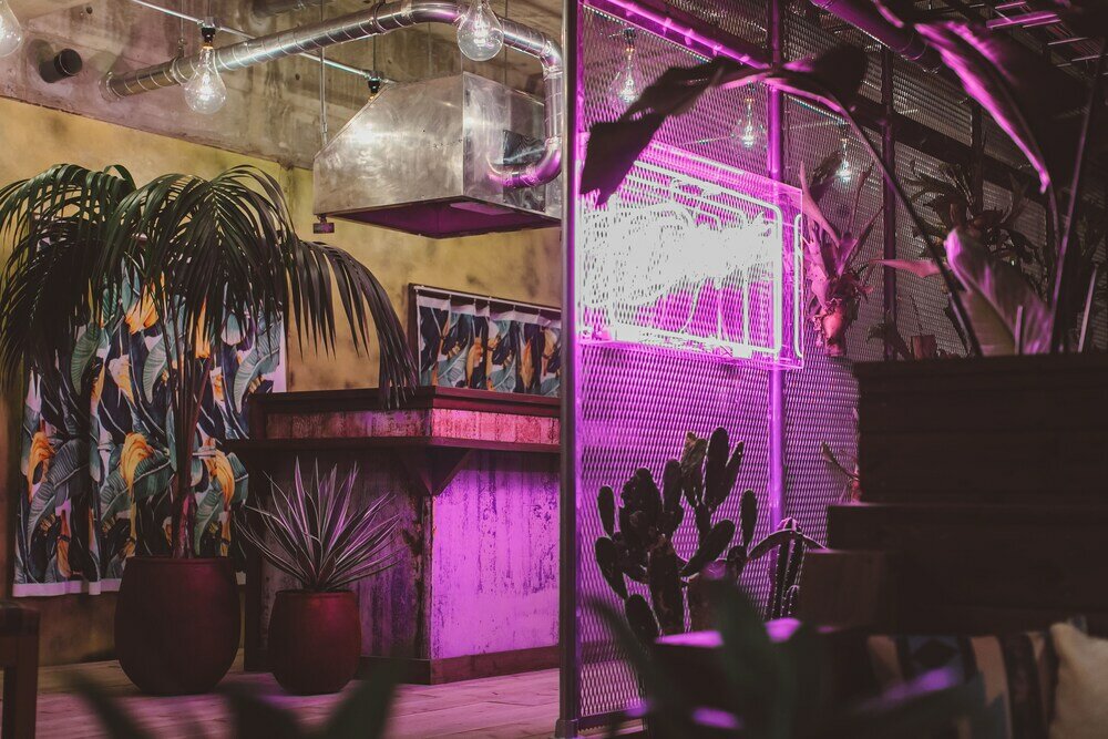 Фото Yanbaru Hostel