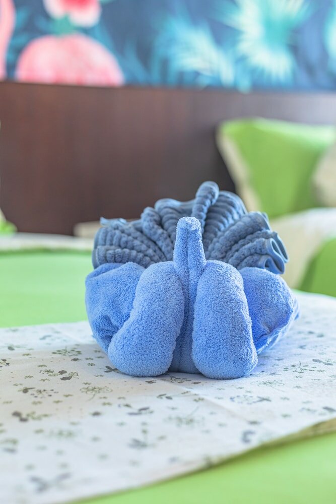 Фото Sunflower Hotel