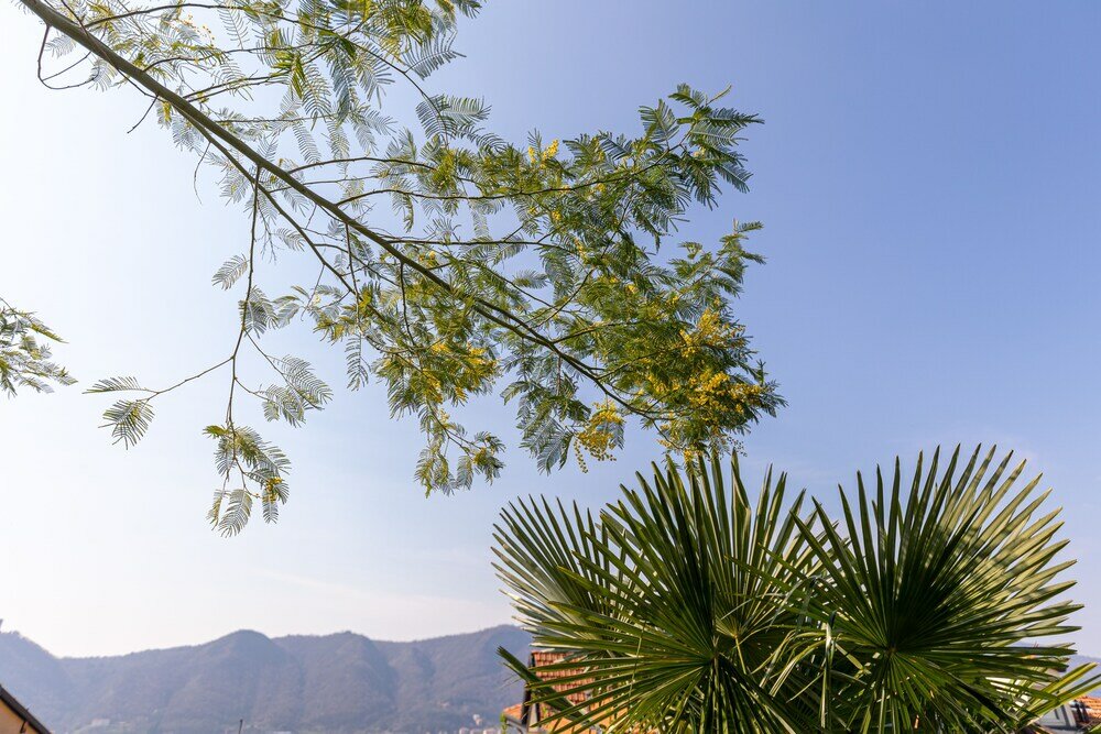 Фото La Casetta di Erica