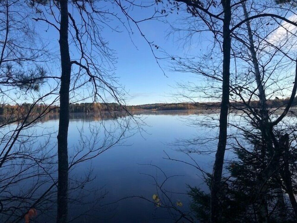 Фото Gresham Shores - Woodies Perch № 5