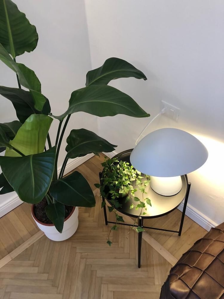 Фото BnButler - Guercino 8