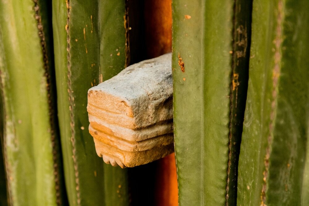 Фото Casa Carmen Reforma