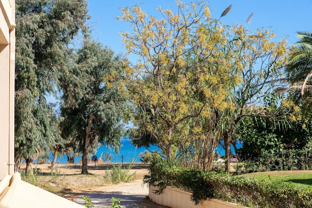 Фото Sun Beach Apartments