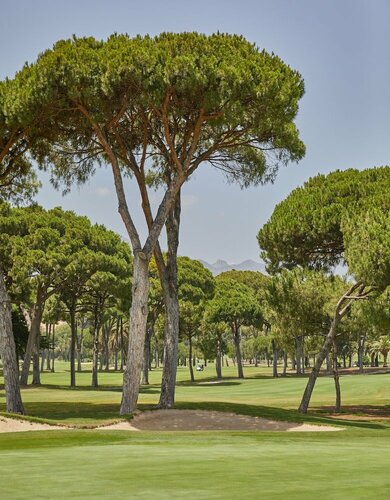 Гостиница Rio Real Golf & Hotel