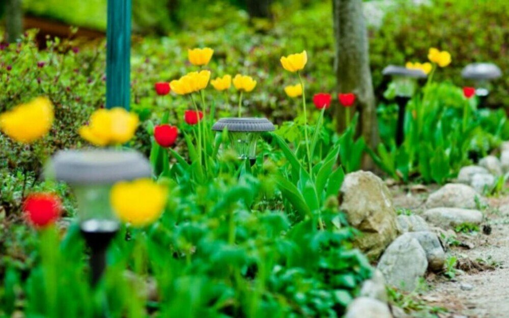 Фото Yangyang Natural We Pension