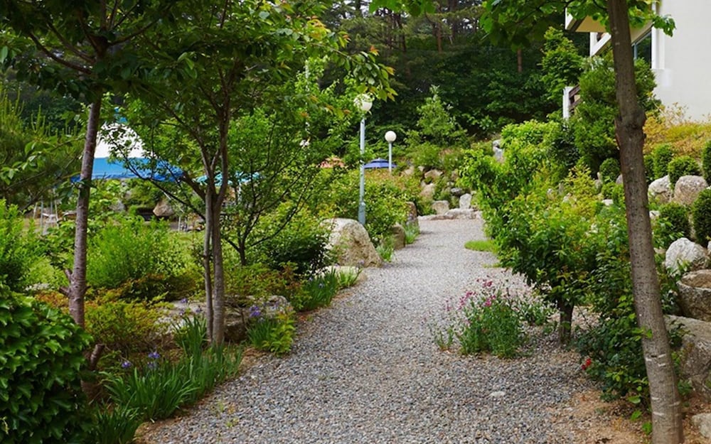 Фото Yangyang Denver House Pension