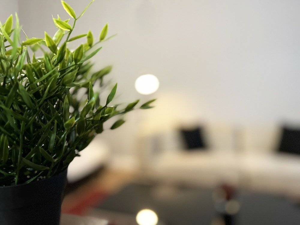 Фото Hotel Rumor