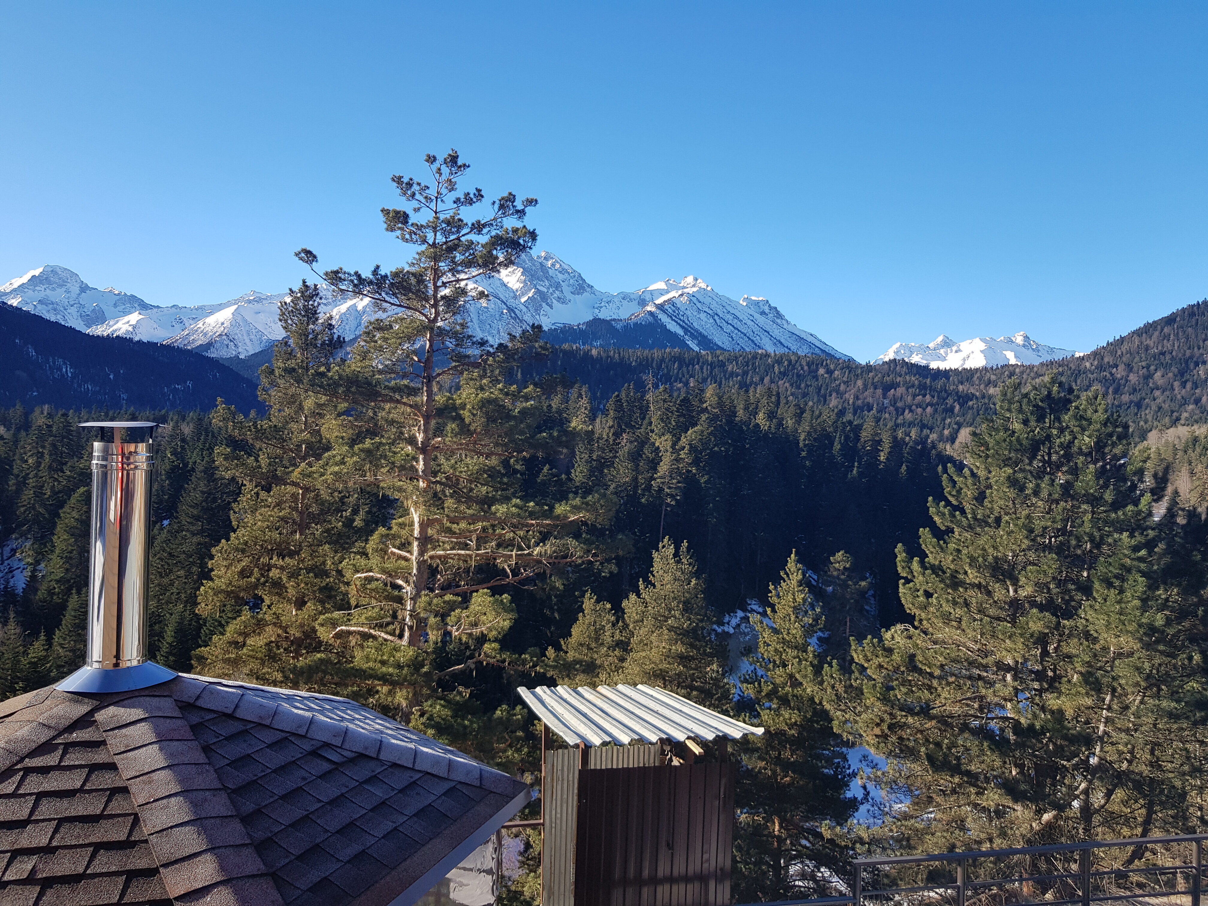 Фото Вудберг