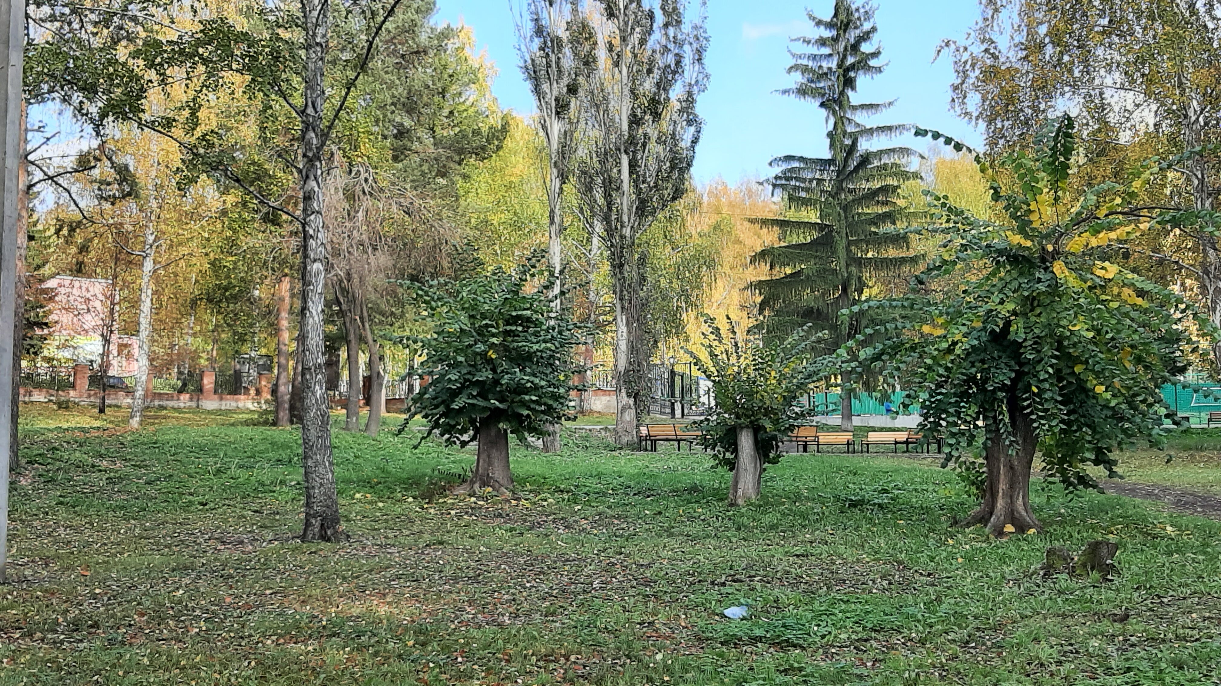 Фото Биатлон