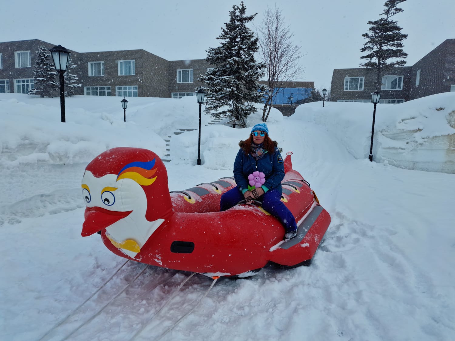 Фото Парк отель Паллада