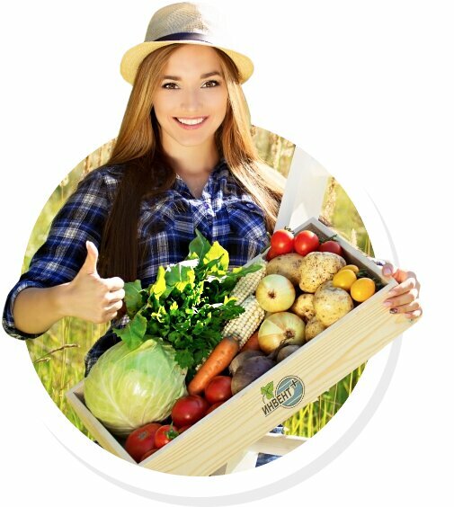 Wholesale company Инвент Плюс, Kostanai, photo