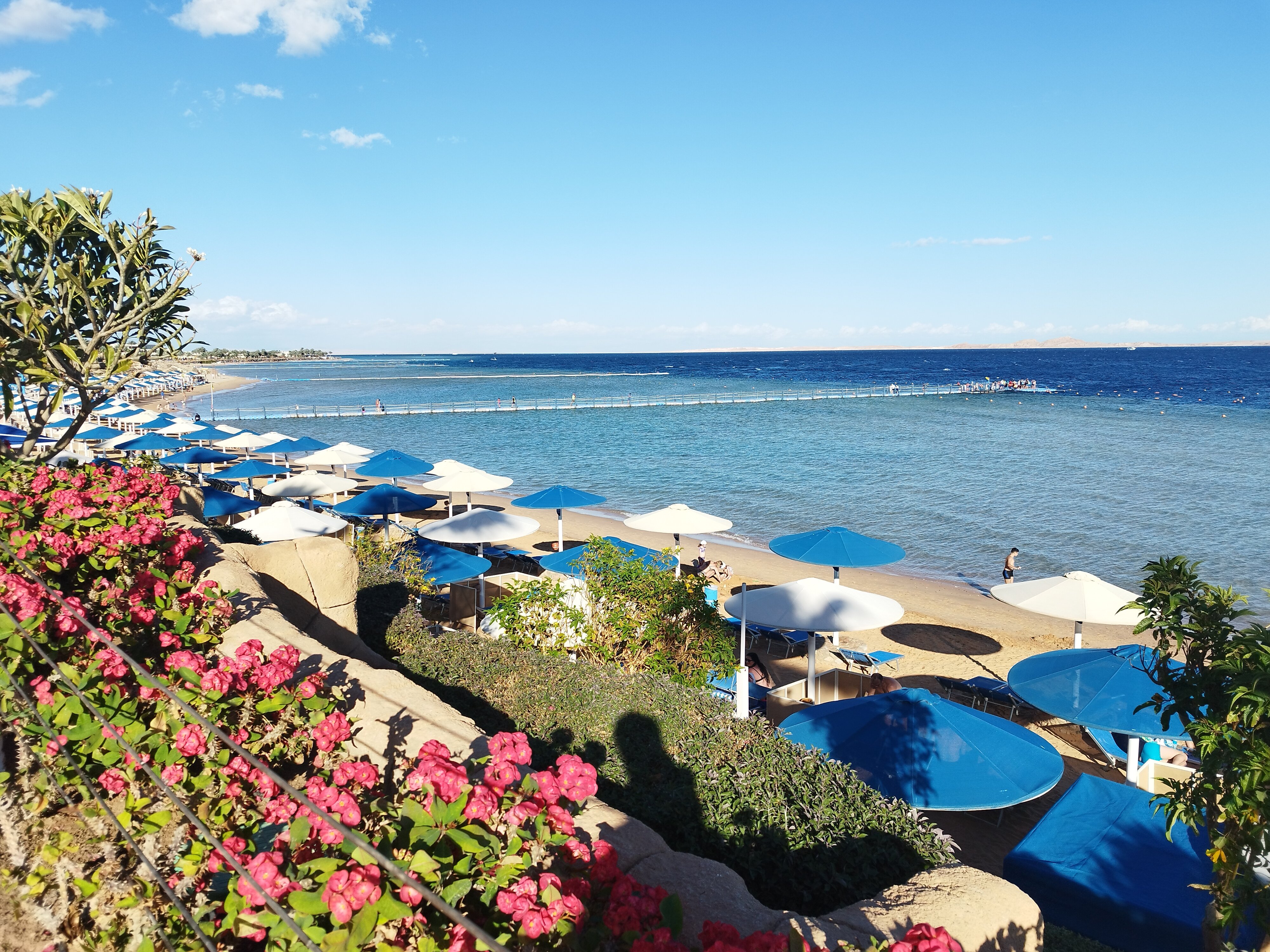 Фото Pickalbatros Palace Resort