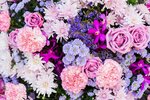 Amelia (Okeanskiy Avenue, 140), floristeria