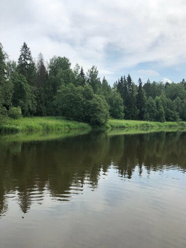 Рузские Горки — фото 5