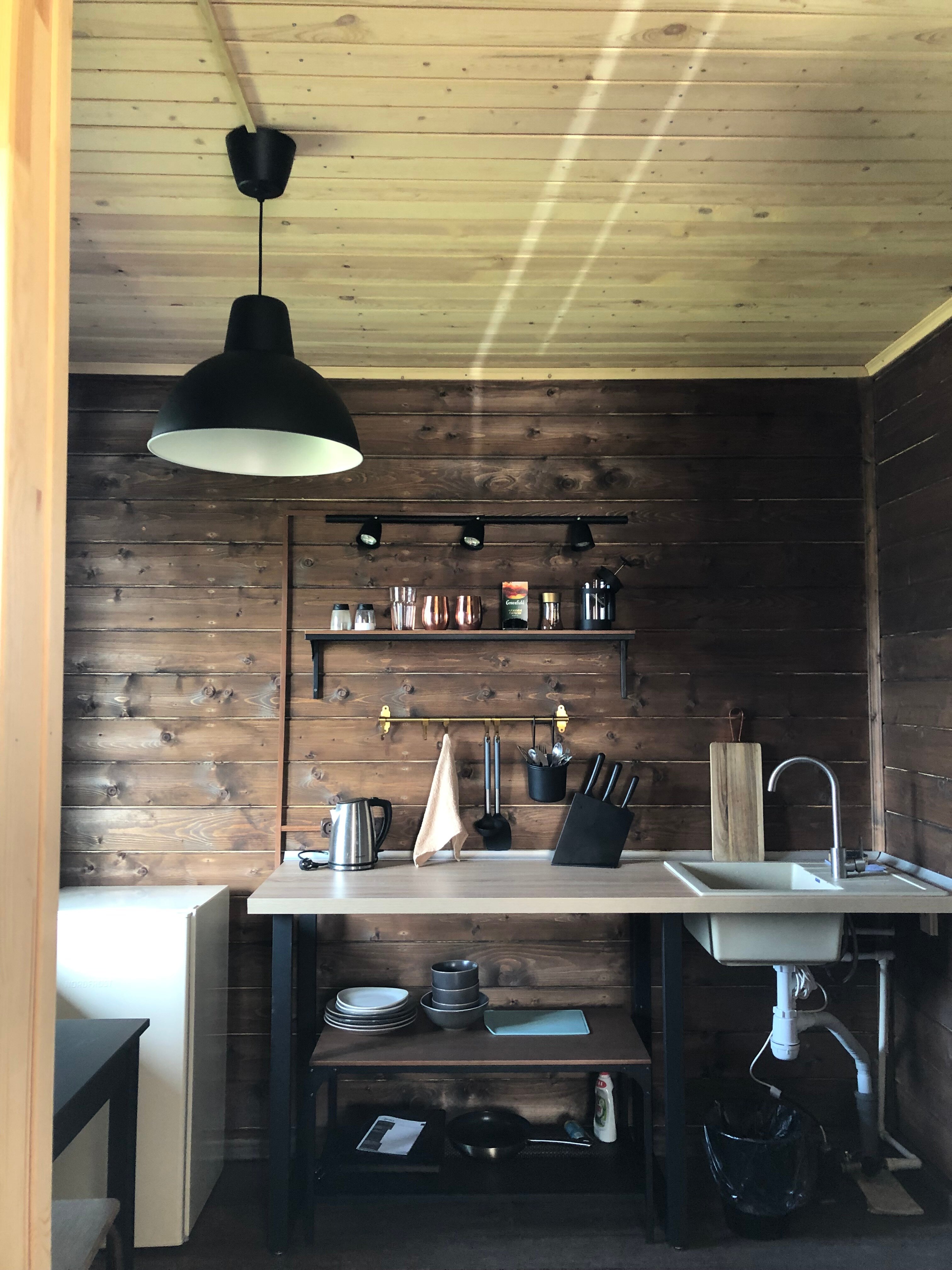 Фото Кот и Лось