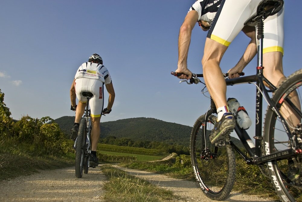 Фото Motel Baden