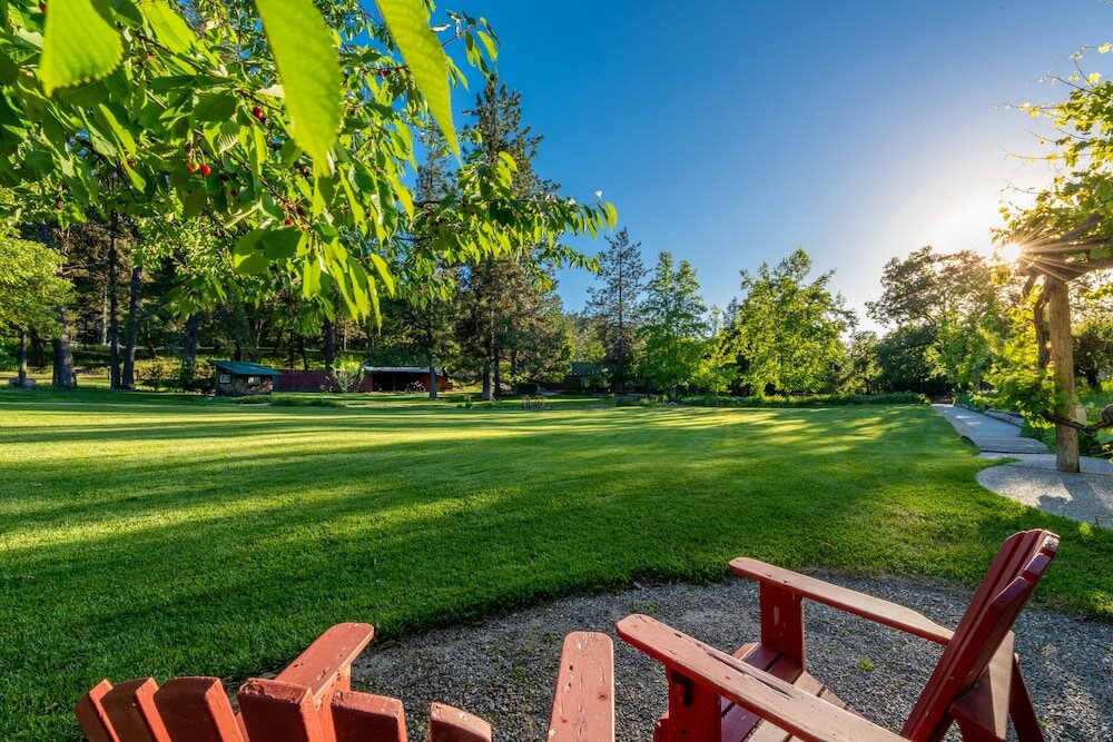 Фото The Davies Family Inn