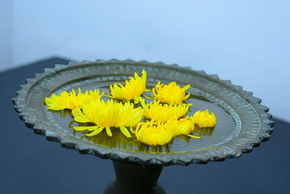 Фото Rohoney Boutique Villa