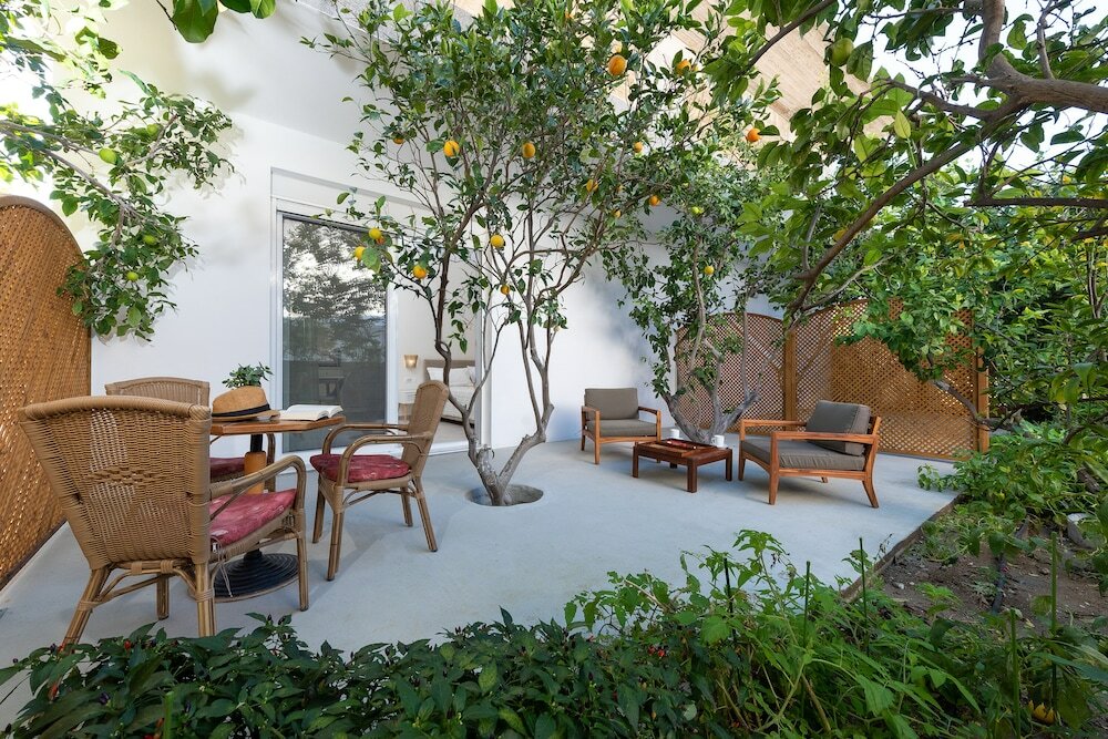 Фото Stegna Dream