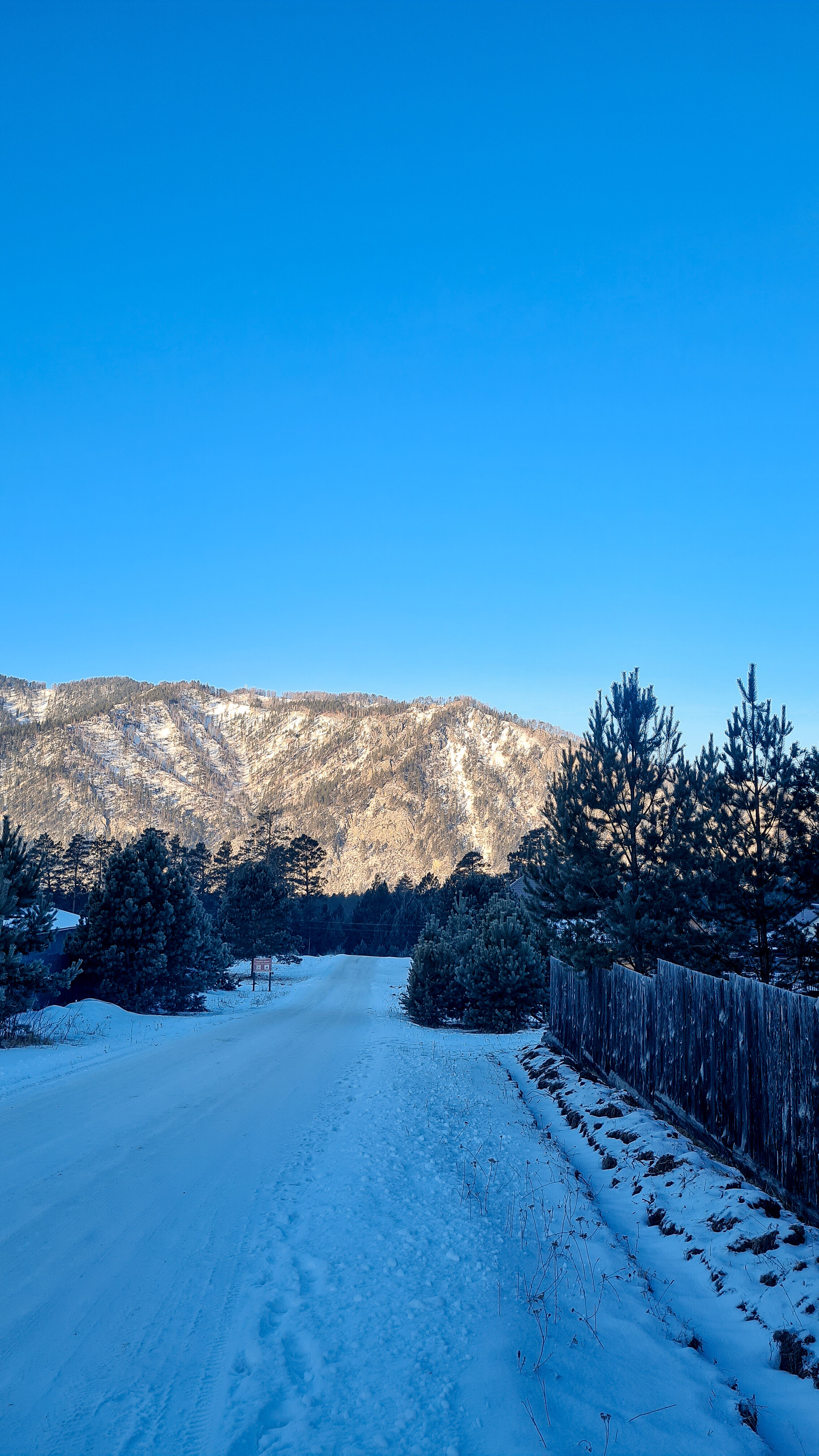 Фото Горы&Сосны